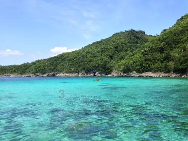 晶科能源N型产品放量净利年增超43亿 全球组件出货量75GW时隔三年重回第一
